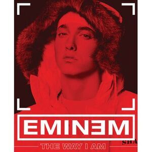 The Way I Am -- Eminem